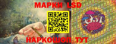 меф Краснознаменск